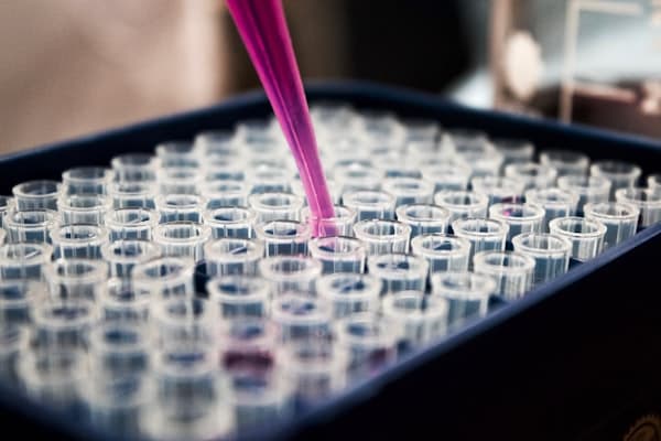 Plant Stress Adaptation: Defense, Nanotech & Genetics